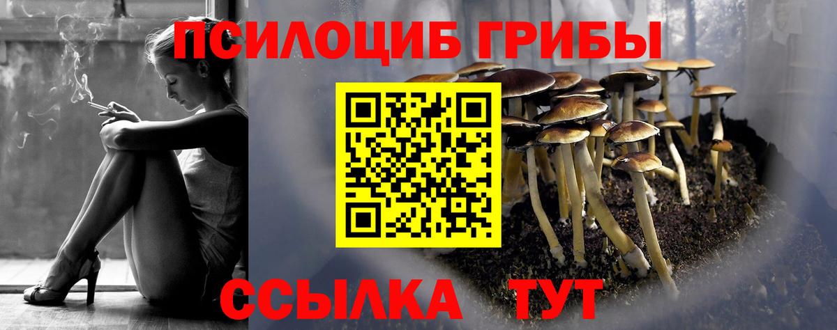Верхняя Пышма  Псилоцибиновые грибы Psilocybe  Вход с VPN  Псилоцибиновые грибы GOLDEN TEACHER 